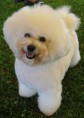 /album/photo-gallery-news/alfie-jpg1/