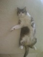 /album/photo-gallery-news/fergus-jpg1/